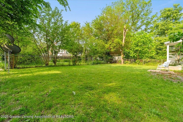 1128 Hickory St, Lansing, MI 48912 - view of yard