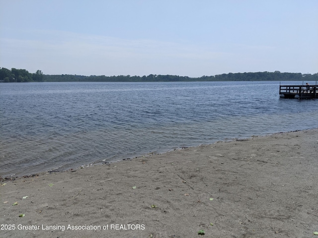 15632 Park Lake Rd, East Lansing, MI 48823 - water view