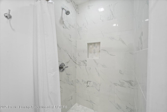 5195 E Brookfield Dr, East Lansing, MI 48823 - full bathroom with a stall shower