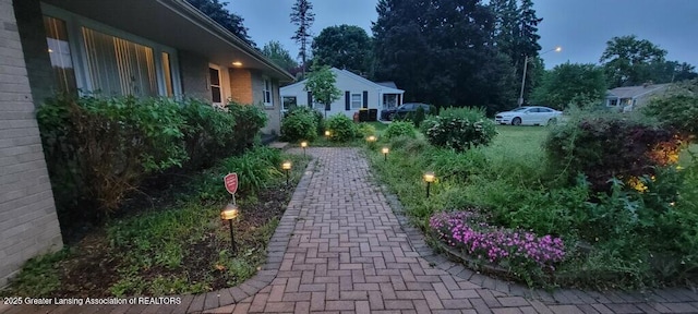 5195 E Brookfield Dr, East Lansing, MI 48823 - view of yard