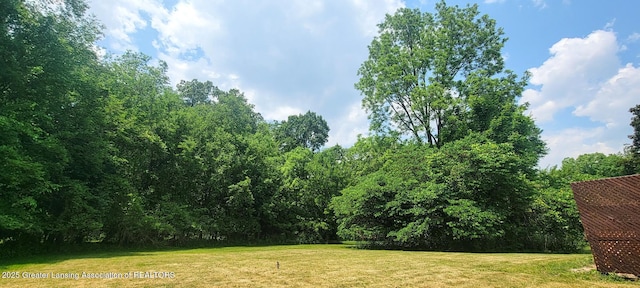 5195 E Brookfield Dr, East Lansing, MI 48823 - view of green lawn