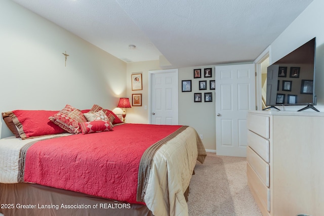 1183 Nottingham Forest Trl Unit 11, Williamston, MI 48895 - photo 37