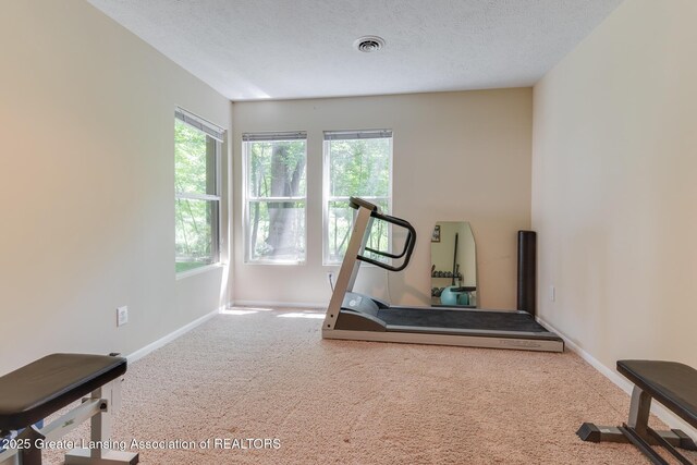 1183 Nottingham Forest Trl Unit 11, Williamston, MI 48895 - photo 40