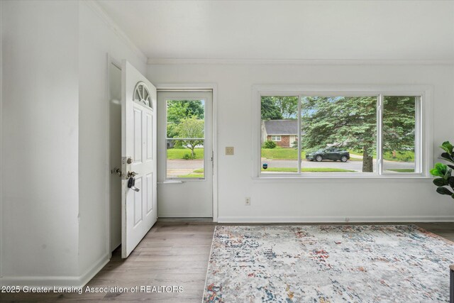 1718 Victor Ave, Lansing, MI 48910 - foyer with crown molding, plenty of natural light, light wood finished floors, and baseboards
