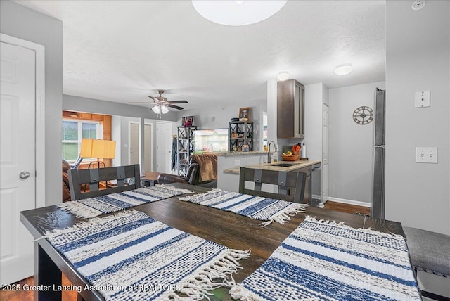 12947 Townsend Dr Unit 412, Grand Ledge, MI 48837 - living area featuring dark wood-type flooring, a ceiling fan, baseboards, and a textured ceiling