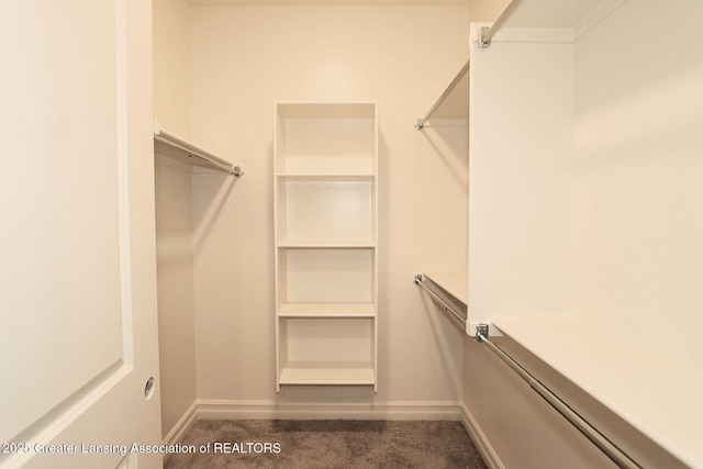 623 Aquila Dr, East Lansing, MI 48823 - walk in closet featuring dark carpet