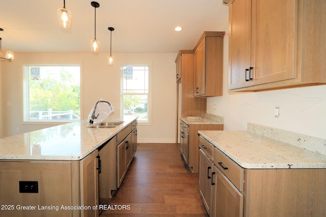 623 Aquila Dr, East Lansing, MI 48823 - kitchen with a sink, dark wood-style flooring, baseboards, light stone counters, and an island with sink