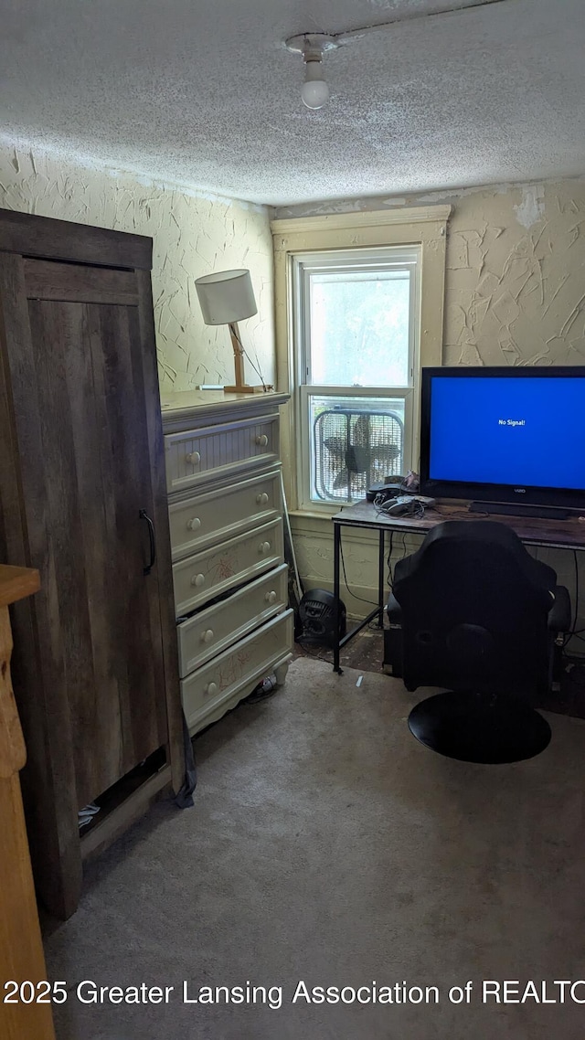 1515 Prospect St, Lansing, MI 48912 - carpeted office space featuring a textured ceiling and a textured wall