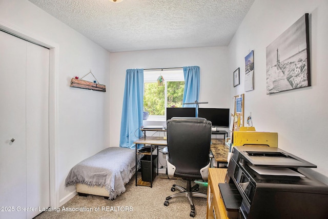 1808 Cadillac Ave, Lansing, MI 48917 - carpeted office with a textured ceiling