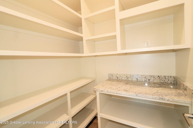 629 Aquila Dr, East Lansing, MI 48823 - view of pantry