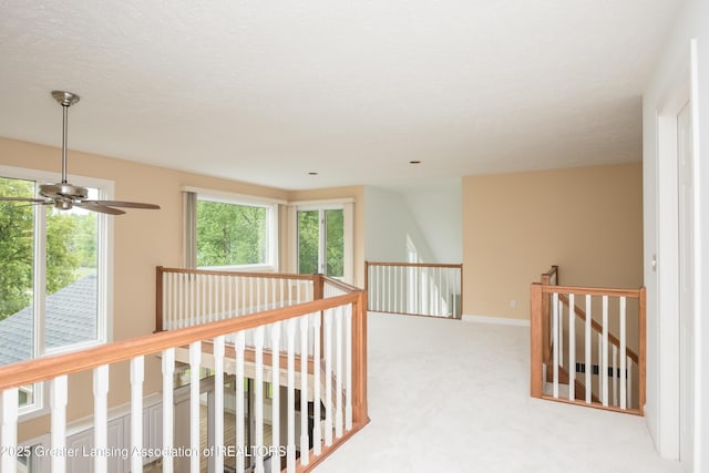 1120 Nautical Dr, Okemos, MI 48864 - corridor with an upstairs landing and carpet floors