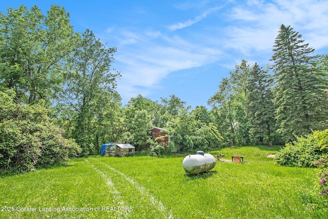 3770 E Frost Rd, Webberville, MI 48892 - view of yard featuring an outbuilding and a forest view