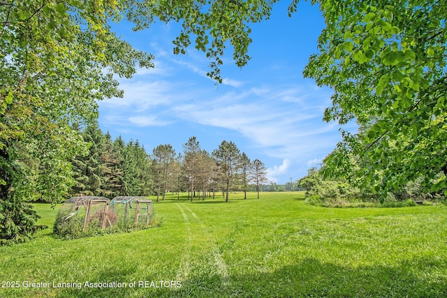 3770 E Frost Rd, Webberville, MI 48892 - view of grassy yard