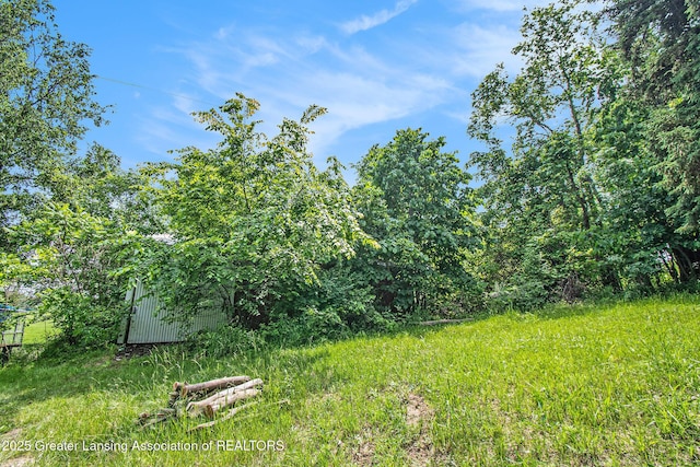 3770 E Frost Rd, Webberville, MI 48892 - view of yard