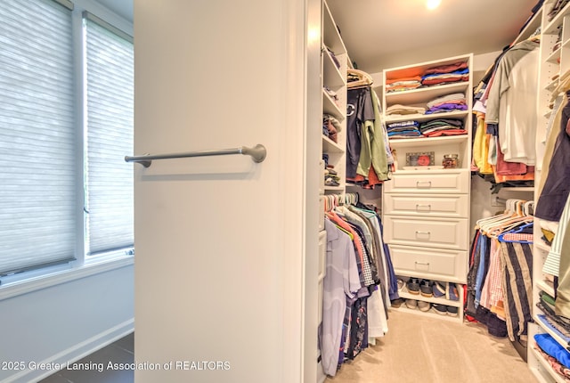 6108 Skyline Dr, East Lansing, MI 48823 - walk in closet featuring carpet floors