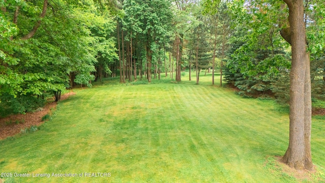 1160 Fox Chase, Okemos, MI 48864 - photo 74