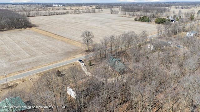 3553 Leland Rd, Laingsburg, MI 48848 - photo 40