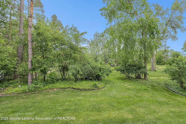2530 Sanibel Holw, Holt, MI 48842 - photo 24