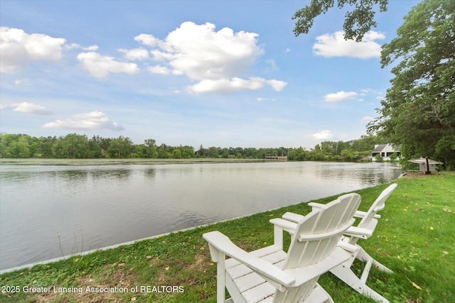 2 Locust Ln, Lansing, MI 48911 - photo 61