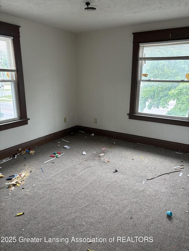 917 E Kalamazoo St, Lansing, MI 48912 - unfurnished room with healthy amount of natural light, carpet floors, and baseboards