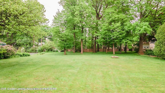 753 E Saginaw St, East Lansing, MI 48823 - view of yard