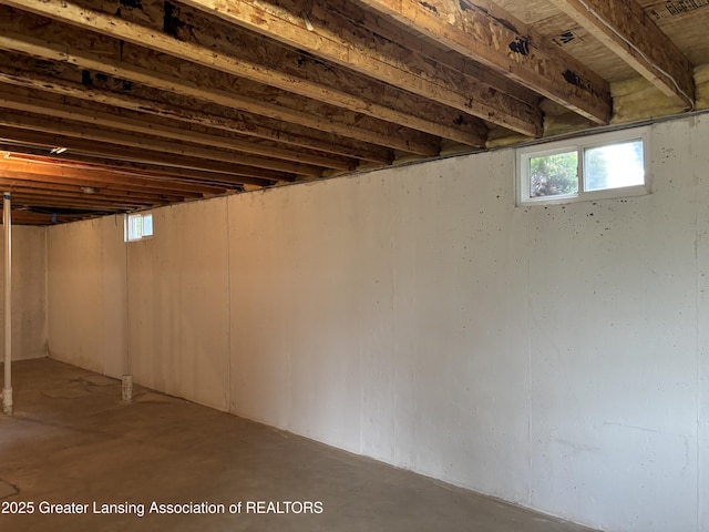 411 White Pine Blvd Unit 34, Lansing, MI 48917 - view of below grade area