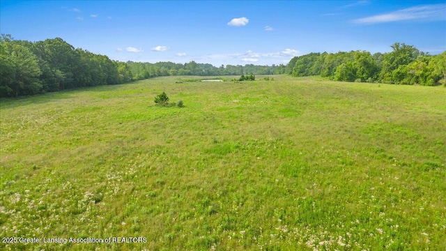 VL Strobel Rd, Charlotte, MI 48813