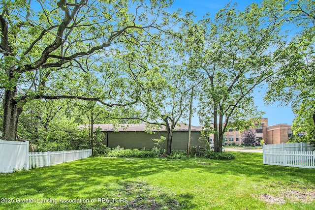 131 W S St, Williamston, MI 48895 - view of yard