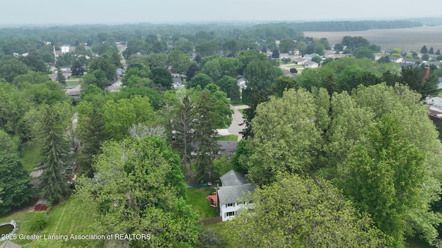 627 State St, Eaton Rapids, MI 48827 - aerial view of property and surrounding area