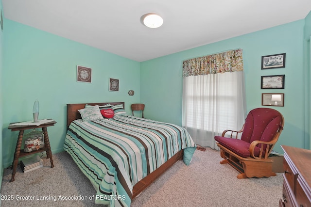 3684 W Howell Rd, Mason, MI 48854 - photo 18