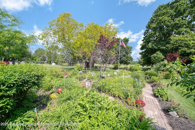 3684 W Howell Rd, Mason, MI 48854 - photo 41