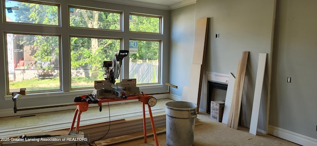 7822 Forestview Dr, Haslett, MI 48840 - detailed view of ornamental molding and carpet floors