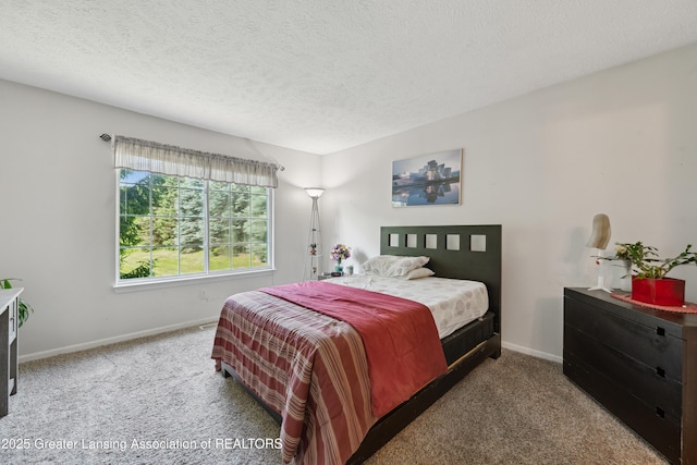 1703 Willow Creek Dr Unit 29, Lansing, MI 48917 - bedroom with carpet flooring and a textured ceiling