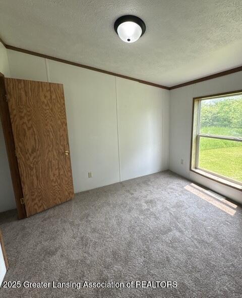 26506 E Baseline Hwy, Charlotte, MI 48813 - empty room featuring a textured ceiling, carpet flooring, and crown molding