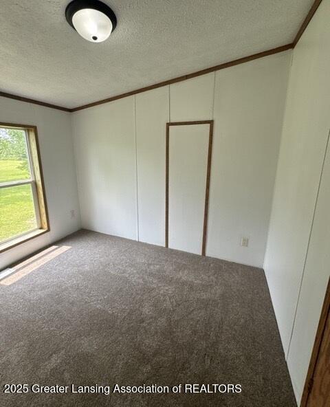 26506 E Baseline Hwy, Charlotte, MI 48813 - empty room featuring crown molding, carpet flooring, a textured ceiling, and a decorative wall