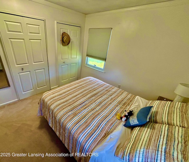 3130 Delta River Dr, Lansing, MI 48906 - bedroom featuring light carpet