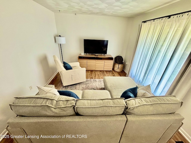 3130 Delta River Dr, Lansing, MI 48906 - living room featuring baseboards and wood finished floors