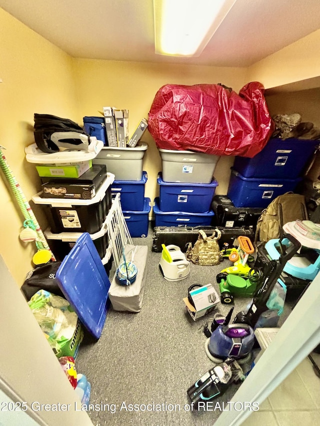 3130 Delta River Dr, Lansing, MI 48906 - view of storage area