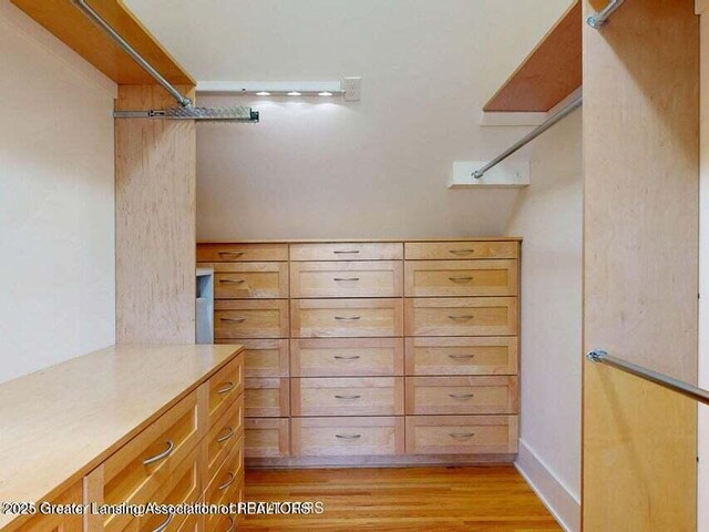 1046 Cresenwood Rd, East Lansing, MI 48823 - spacious closet featuring light wood-style floors