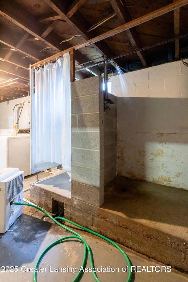 523 N Fairview Ave, Lansing, MI 48912 - unfinished basement with independent washer and dryer