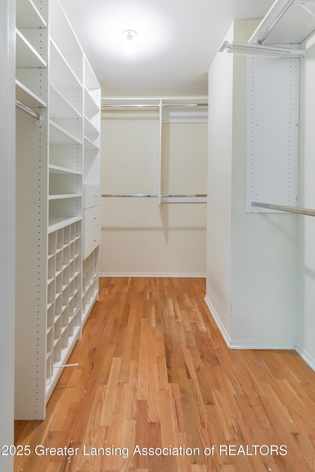 1965 Rutgers Cir, East Lansing, MI 48823 - walk in closet featuring wood finished floors