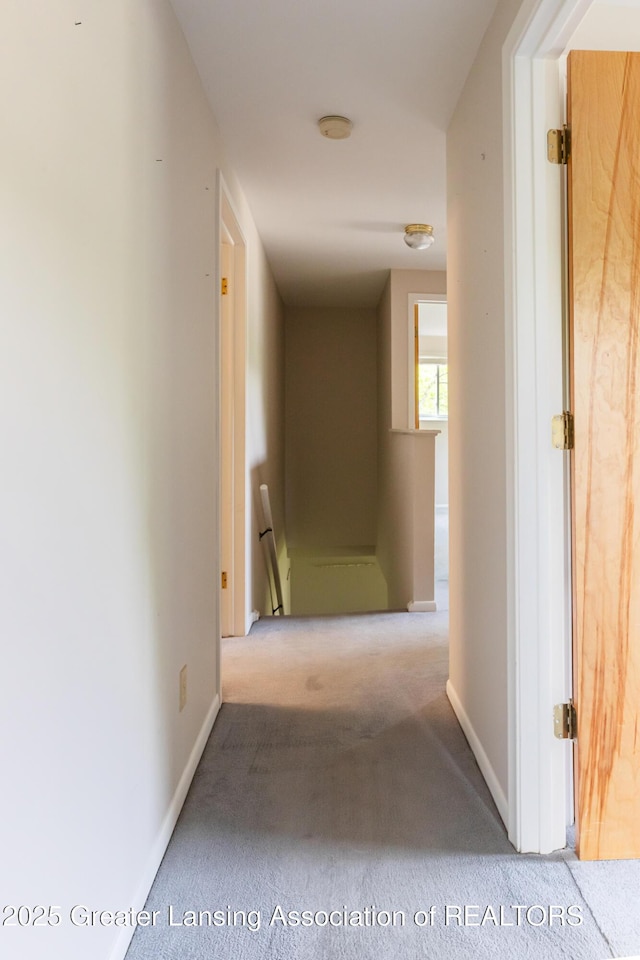 1965 Rutgers Cir, East Lansing, MI 48823 - hallway with an upstairs landing and carpet flooring