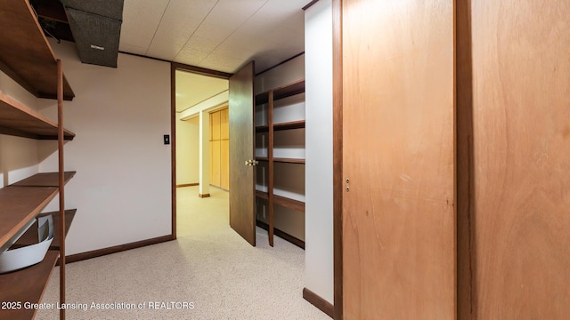 1965 Rutgers Cir, East Lansing, MI 48823 - view of spacious closet