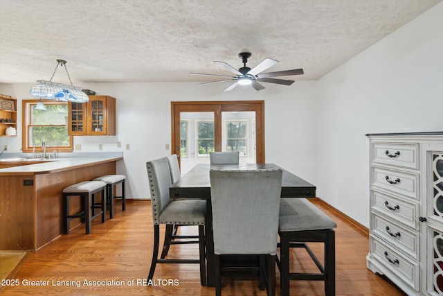 921 Ives Rd, Mason, MI 48854 - dining area featuring healthy amount of natural light, light wood-style flooring, a ceiling fan, and a textured ceiling