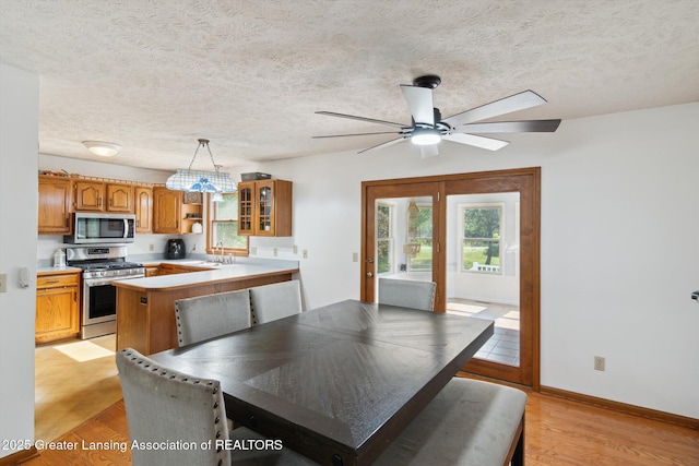 921 Ives Rd, Mason, MI 48854 - dining space with healthy amount of natural light, ceiling fan, light wood finished floors, baseboards, and a textured ceiling