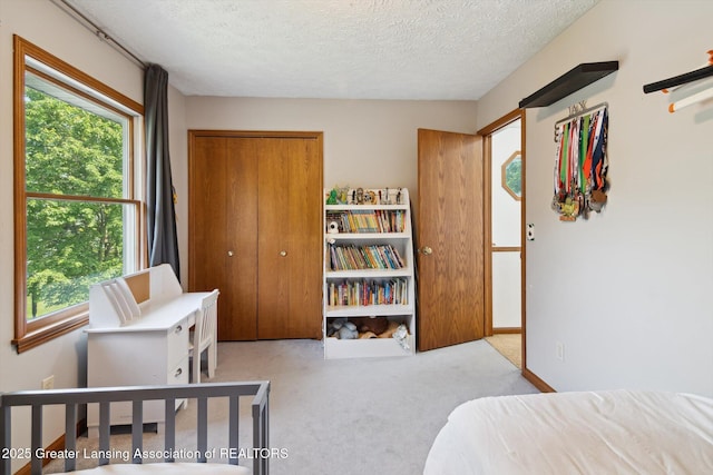 921 Ives Rd, Mason, MI 48854 - carpeted bedroom with multiple windows, a textured ceiling, and a closet