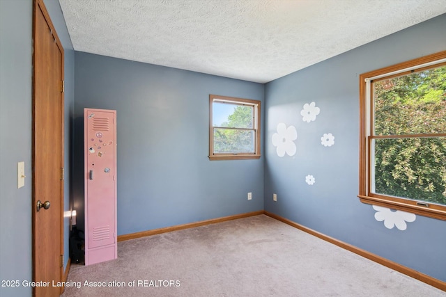 921 Ives Rd, Mason, MI 48854 - unfurnished room featuring carpet floors, baseboards, and a textured ceiling