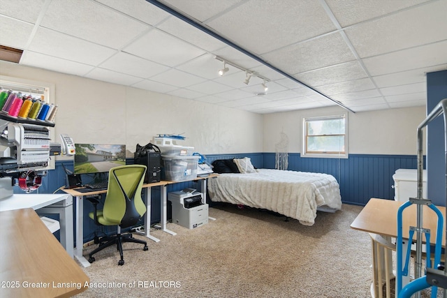 921 Ives Rd, Mason, MI 48854 - bedroom with a paneled ceiling, wainscoting, carpet flooring, and a desk