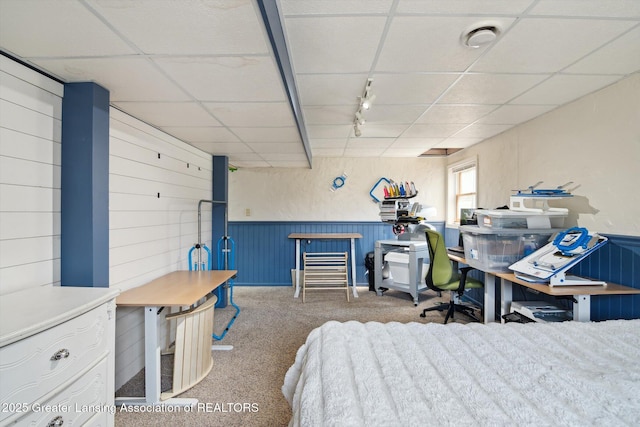 921 Ives Rd, Mason, MI 48854 - carpeted bedroom with wainscoting, track lighting, and a drop ceiling