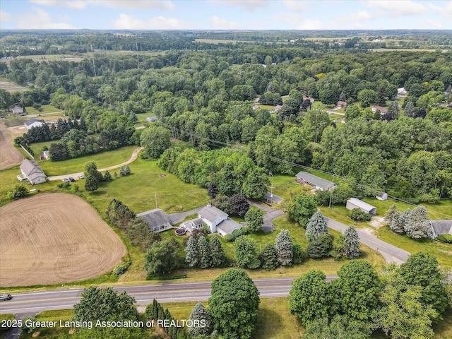 921 Ives Rd, Mason, MI 48854 - bird's eye view